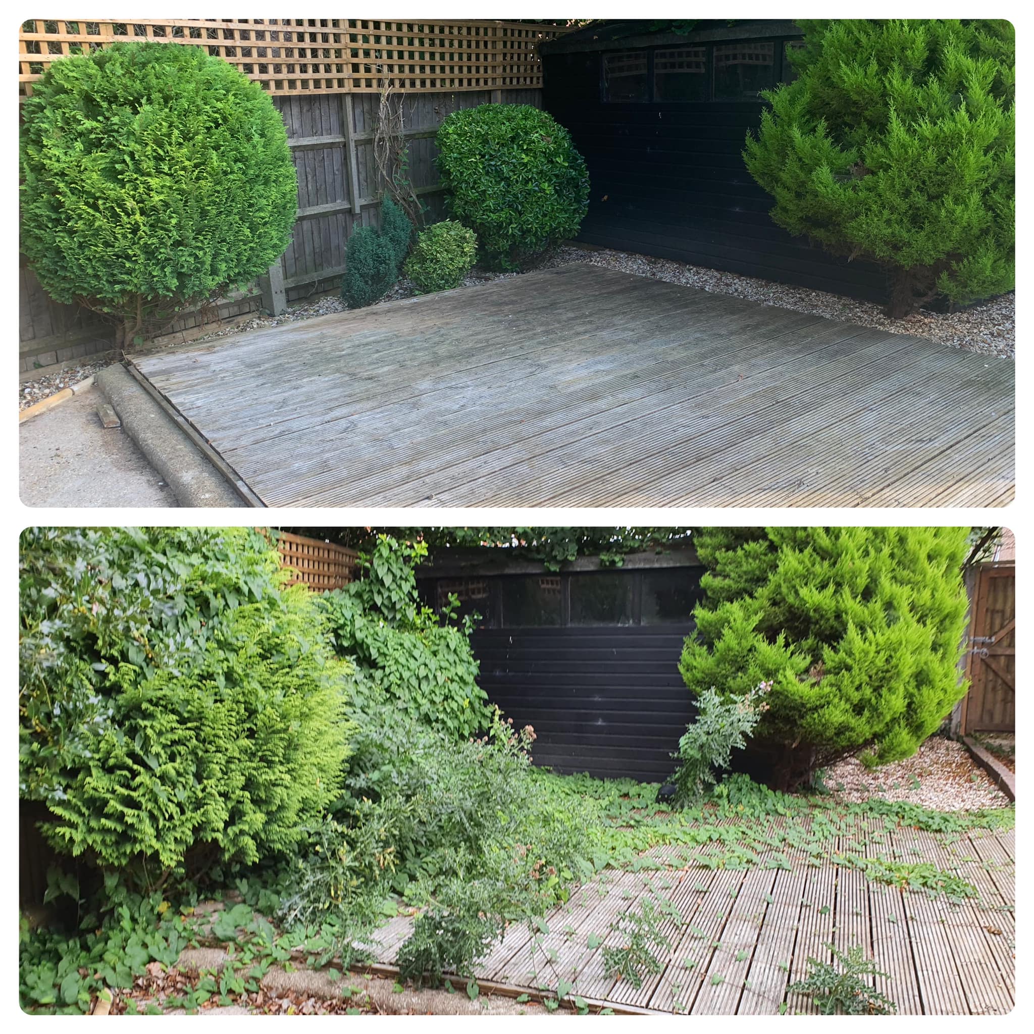 Garden transformation — neglected garden fully restored and tidied